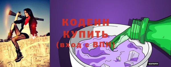 индика Вязьма