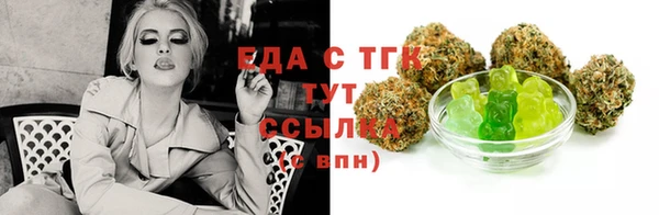 индика Вязьма