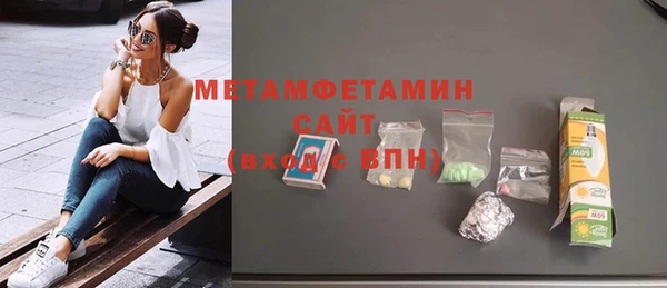 индика Вязьма