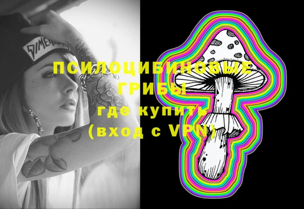 ECSTASY Вяземский