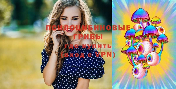 ECSTASY Вяземский