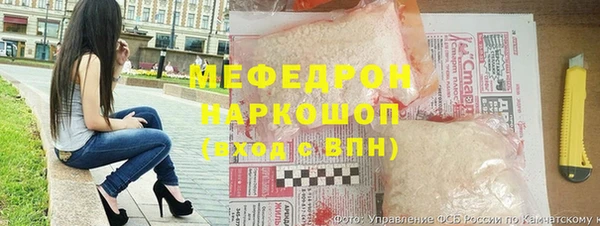 индика Вязьма