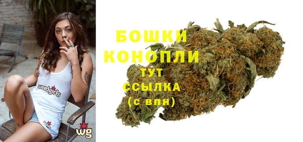 ECSTASY Вяземский
