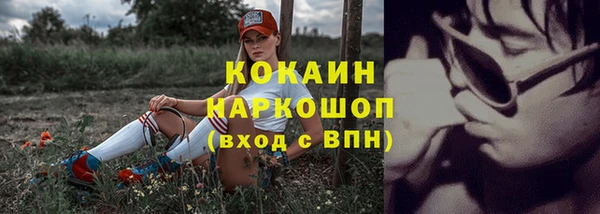 ECSTASY Вяземский