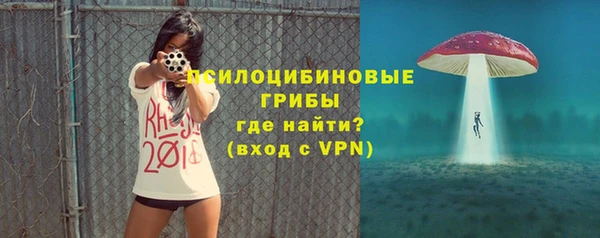 ECSTASY Вяземский