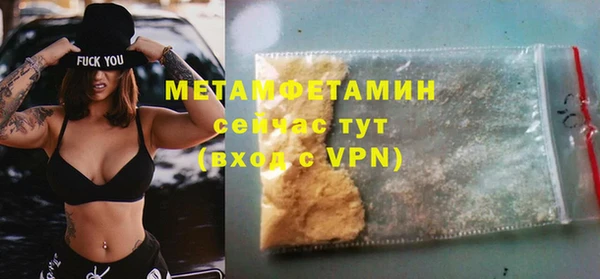 индика Вязьма