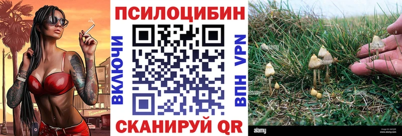 Галлюциногенные грибы MAGIC MUSHROOMS  купить закладку  Кисловодск 